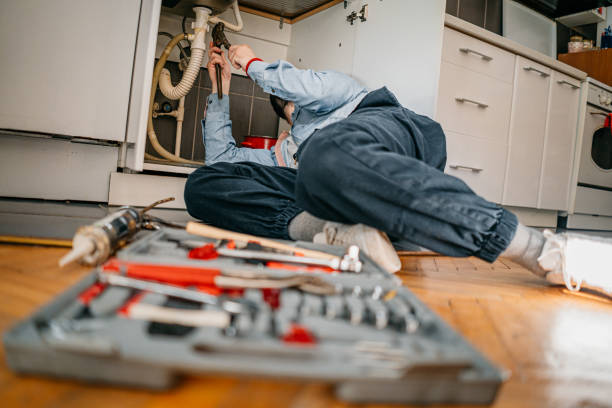 Best Sprinkler Systems  in Ripley, MS