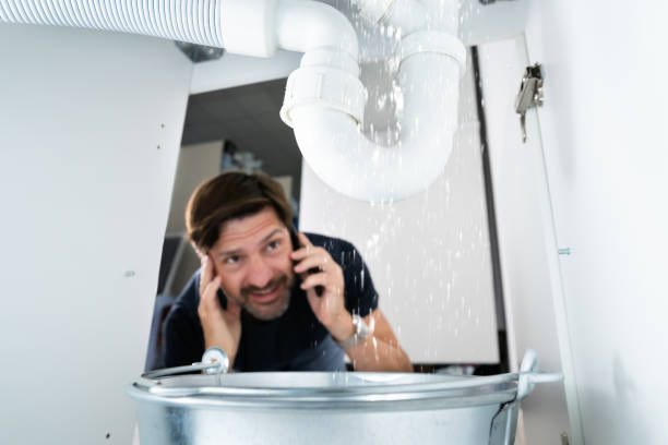 Best Plumbing Services Near Me  in Ripley, MS