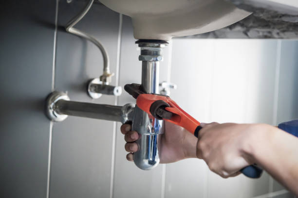 Best Local Plumber Services  in Ripley, MS