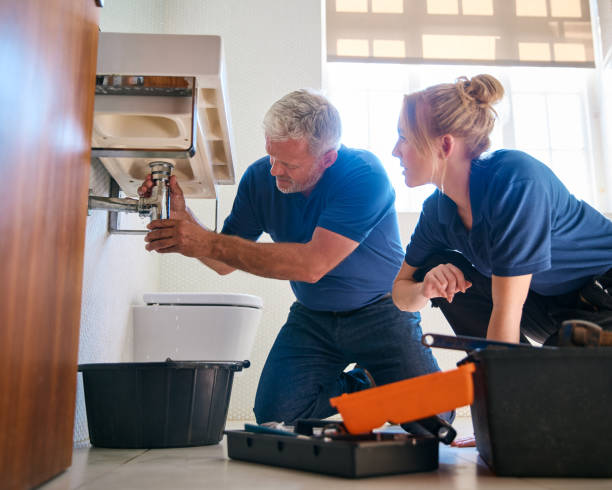 Best Affordable Plumbing Services  in Ripley, MS